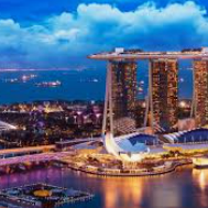 森林舞会修改器-森林舞会狂欢夜，借助修改器共舞奇幻之旅-森林舞会修改器