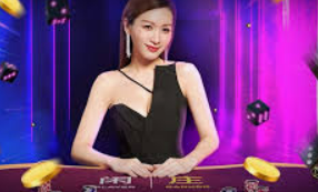 手机森林舞会电玩城-森林舞会狂欢夜，手机电玩城与舞动的光影交织之旅-手机森林舞会电玩城