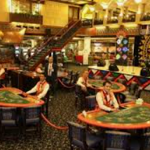 森林舞会多人版-森林舞会之夜，多人版的奇妙盛宴-森林舞会多人版