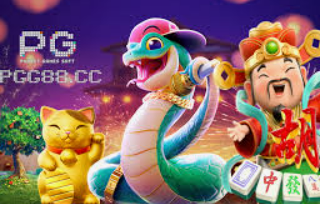 196体育经典版2024最新版