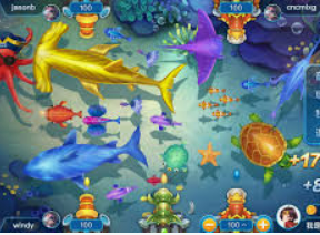 196体育经典版2024最新版