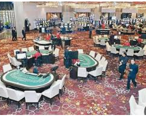 196体育经典版电脑免费版