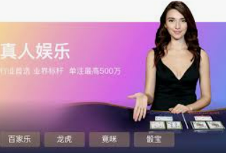 快乐的森林舞会绘本-快乐的森林舞会绘本，一场梦幻般的自然盛宴-快乐的森林舞会绘本