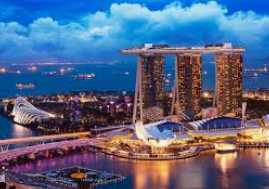 森林舞会修改器-森林舞会狂欢夜，借助修改器共舞奇幻之旅-森林舞会修改器